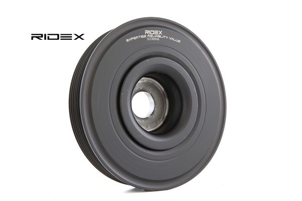OEM Krukaspoelie RENAULT 1.9 dCi (BG1A, BG1W, BG0G) 110 PK Diesel 1230300QBD van RIDEX online aan geweldige prijzen