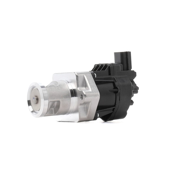 OEM AGR-Ventil FIAT 2.0 JTD 4x4 170 HP Diesel 0000055209609 od RIDEX online za výborné ceny