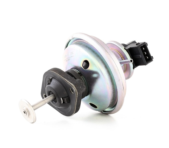 AGR BMW de calidad originales 11717801942, 11717808171, 11717823316 de RIDEX