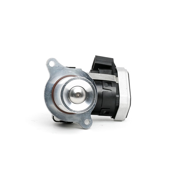 OE AGR MERCEDES-BENZ Classe M 2003 6421400160, 6421400360, 6421400860 di RIDEX