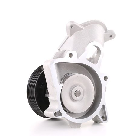 OE Bomba de agua para motor BMW X6 2011 11517790135, 11517790472, 11517791834 de RIDEX