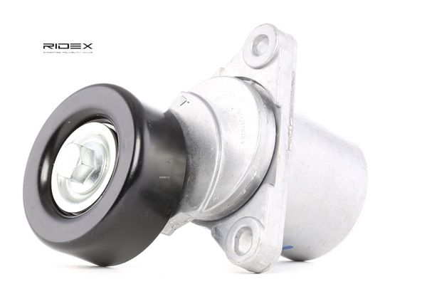 OE Spanrol multiriem KIA CARENS 2014 2528127000, 2528127001, 2528127010 van RIDEX