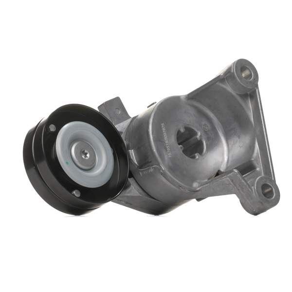 Köp billiga original Remspännare 540T0021 jämförbara med 9179314 OEM nummer på nätet