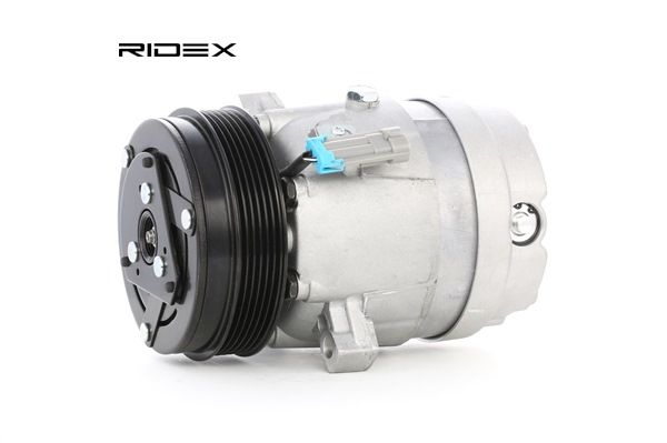 OEM Kompresor klimatizácie OPEL 2.6 V6 (F69, M69, P69) 180 HP Benzín 1135106 od RIDEX online za výborné ceny