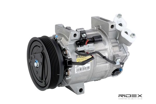 OE RENAULT LATITUDE Aircopomp 21000200, 7711497037, 8200720417 van RIDEX - verlaagde prijzen