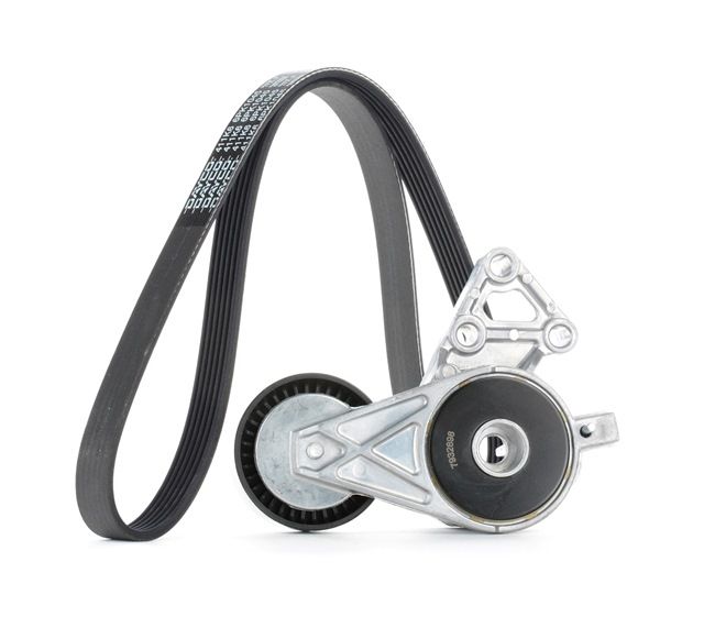 OEM Set curea transmisie cu caneluri SKODA 1.6 LPG 102 CP Benzina/Autogaz (GPL) 06A903315D de la STARK online la un preț incredibil