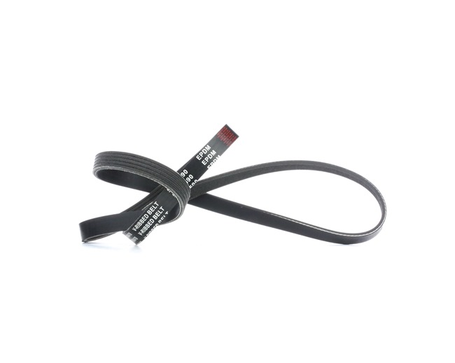 Compre Correa trapecial poli V 305P0042 original asequible comparable con números OEM online 55556430