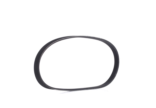 OEM Curea transmisie cu caneluri SUZUKI 1.2 VVT Hybrid AllGrip (ZDEDS) 83 CP benzina/elector 0009933396 de la RIDEX online la un preț incredibil
