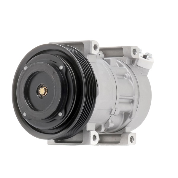 OEM Compressore aria condizionata FIAT 1.9 JTD 140 CV Diesel 1752531 da RIDEX online ad un ottimo prezzo