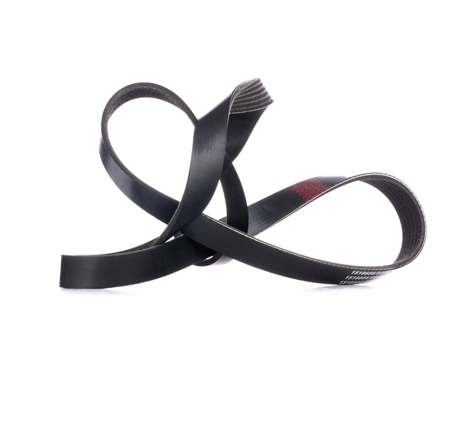 OEM Serpentine belt FORD Transit Custom V710 Minibus NXN 0129975492, 0129975592, 074145933AL from RIDEX - save money with our low prices