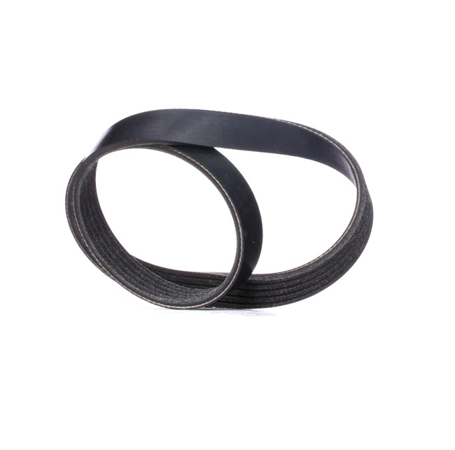 OEM Cinghia servizi FORD 2.0 145 CV Benzina 1346034 da RIDEX online ad un ottimo prezzo