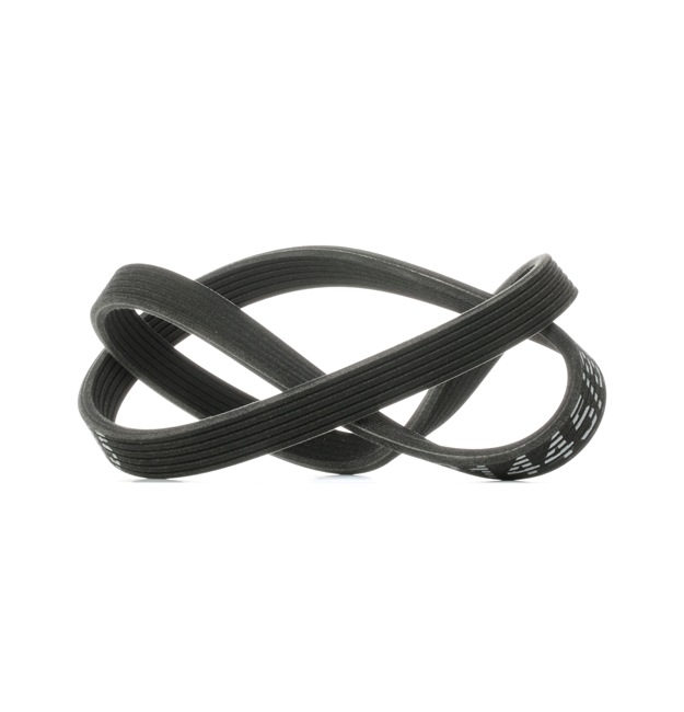 OEM Ιμάντας poly-V VW 1.9 TDI 85 PS Πετρέλαιο 038903137S από την RIDEX ηλεκτρονικά σε χαμηλές τιμές