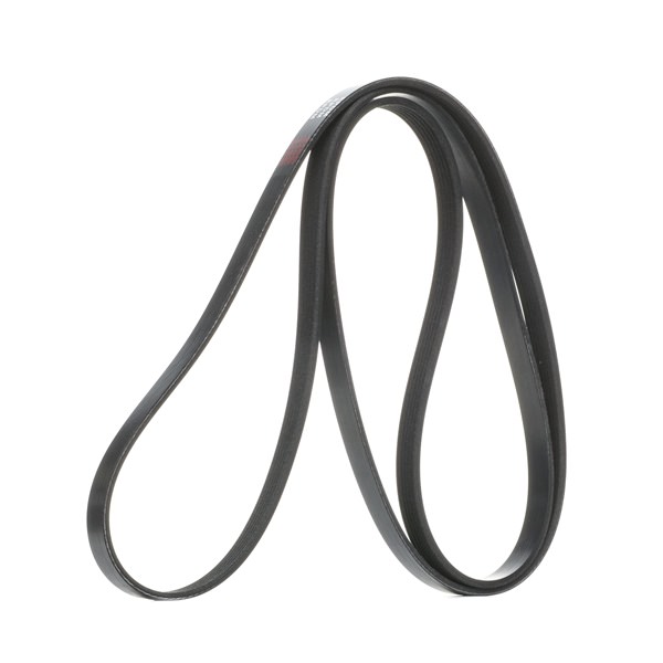 Acquista online Cinghia servizi 305P0248 originale a buon mercato, comparabile con i numeri OEM 0089976992