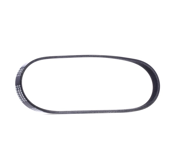 OEM Serpentine belt FORD 1.6 ROCAM 95 HP Petrol 1143407 from RIDEX online at great prices
