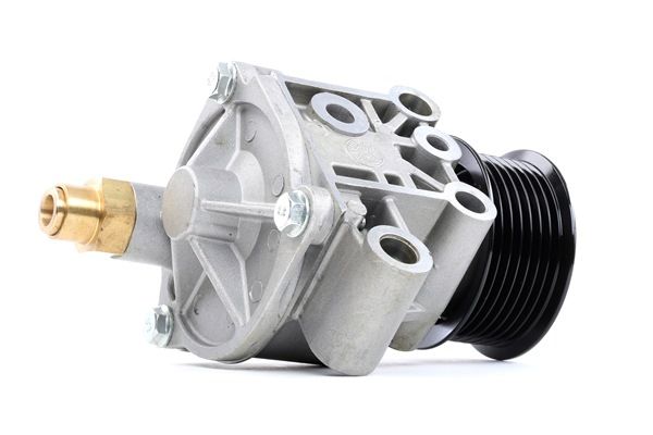 Podtlacna crpalka, zavorna naprava LAND ROVER v originalni kakovosti 1096431, 1103470, 1434548 od RIDEX