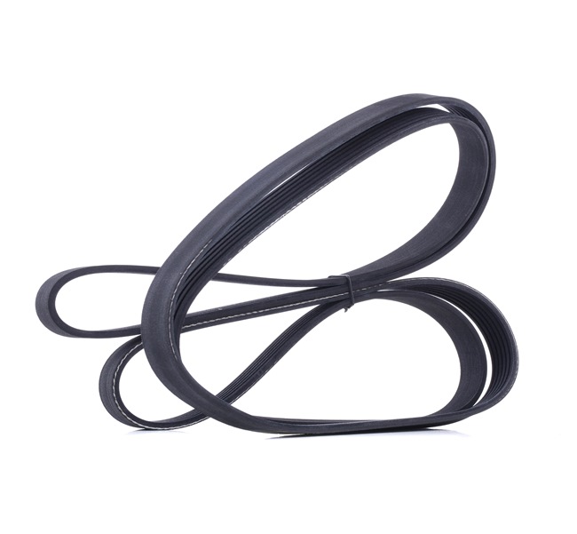 Compre Correa trapecial poli V 305P0365 original asequible comparable con números OEM online 252122F000
