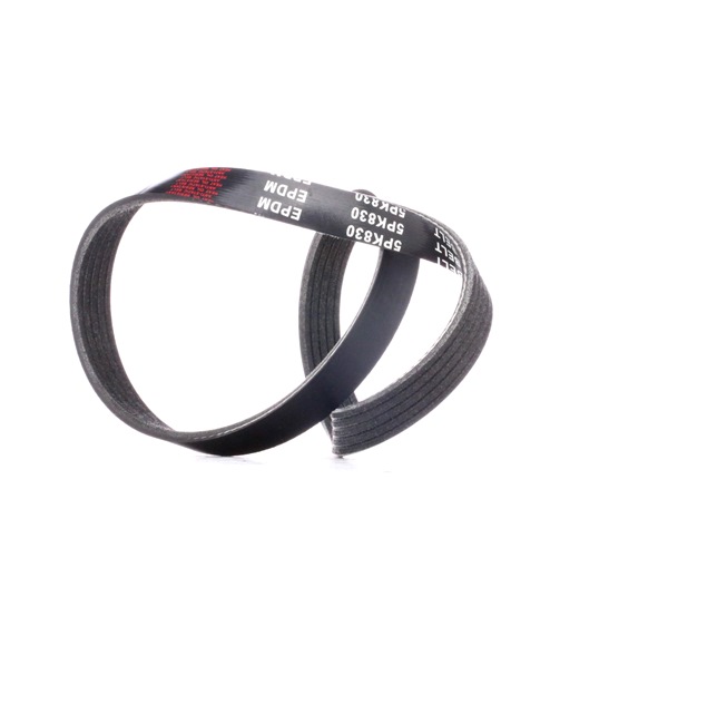 OEM Ozubený klinový remeň OPEL 2.5 DTI (F69, M69, P69) 150 HP nafta 11287830946 od RIDEX online za výborné ceny