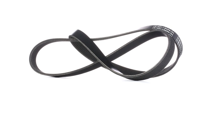 OEM Multiriem FORD 2.9 i 150 PK Benzine 1340260 van RIDEX online aan geweldige prijzen