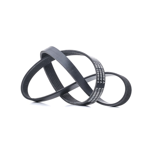Kupte si levné originální Ozubený klínový řemen 305P0334 porovnatelné s 117203945R OEM čísly online
