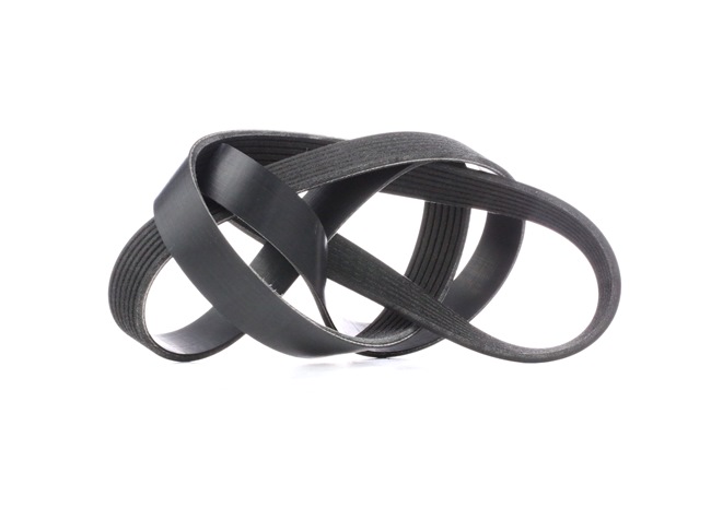 Kupite poceni originalno Rebrasti jermen 305P0344, primerljivo z 117205X00A OEM številke, prek spleta