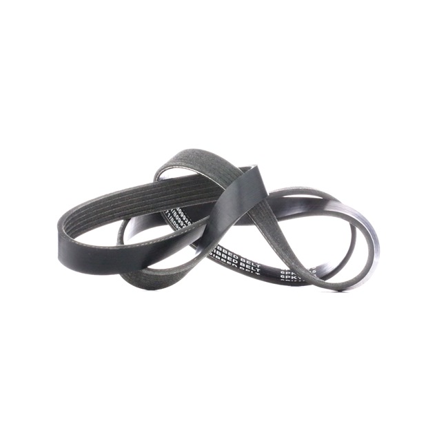 Acquista online Cinghia servizi 305P0231 originale a buon mercato, comparabile con i numeri OEM 9146973