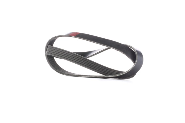 OE HONDA CROSSTOUR Correia trapezoidal estriada 028260849H, 11288580362, 11288638716 da RIDEX - a preços reduzidos