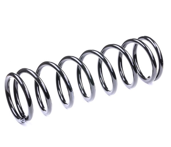 Springveer FORD in originele kwaliteit 1061638, 1061641, 1064134 van RIDEX