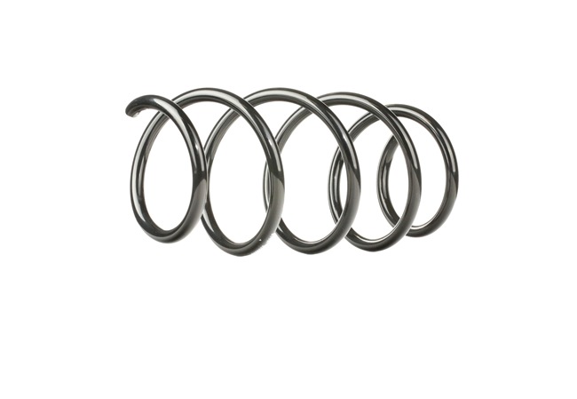 Springveer RENAULT in originele kwaliteit 8200040090, 8200106137, 8200106139 van RIDEX