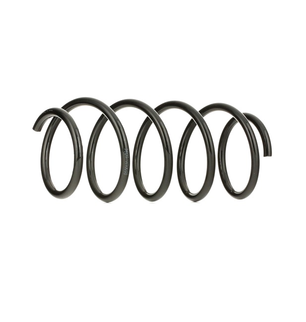 Springveer OPEL in originele kwaliteit 312102, 9195993, 9196163 van RIDEX