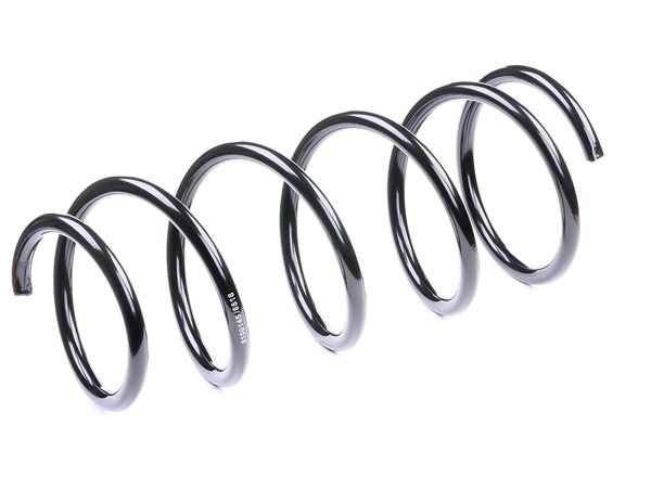 Chassisveer NISSAN in originele kwaliteit 5401000QAM, 5401000QAN, 7700311491 van RIDEX