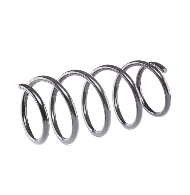 OEM Chassisveer RENAULT 1.9 dCi 120 PK Diesel 8200304229 van RIDEX online aan geweldige prijzen