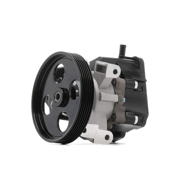 Kupite poceni originalno Črpalka za servo volan 12H0067, primerljivo z 0044667001 OEM številke, prek spleta