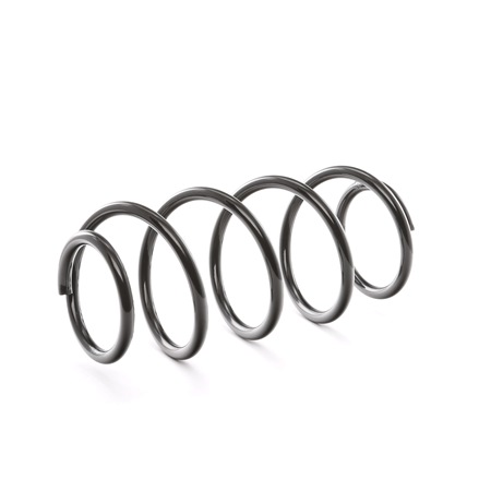 Spiraalveer OPEL in originele kwaliteit 312094, 312831, 312832 van RIDEX