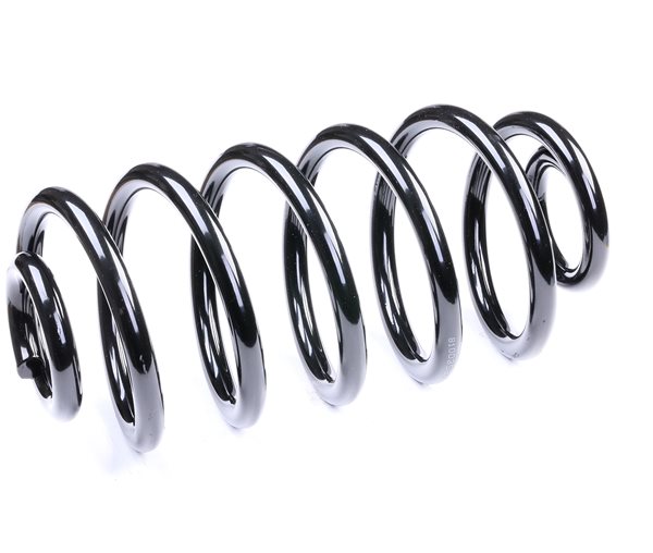 OEM Mola de suspensão OPEL 3.0 V6 CDTI (F35) 184 CV Diesel 424087 de RIDEX online a preços excelentes
