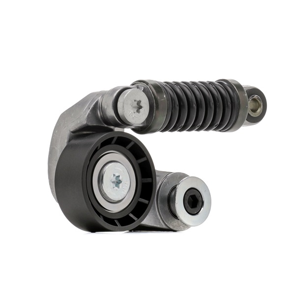 OEM Spanrol, poly V-riem RENAULT 1.9 D 64 PK Diesel 30852898 van STARK online aan geweldige prijzen
