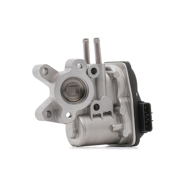 EGR клапан NISSAN в оригинално качество 14710EC00A, 14710EC00B, 14710EC00D от RIDEX