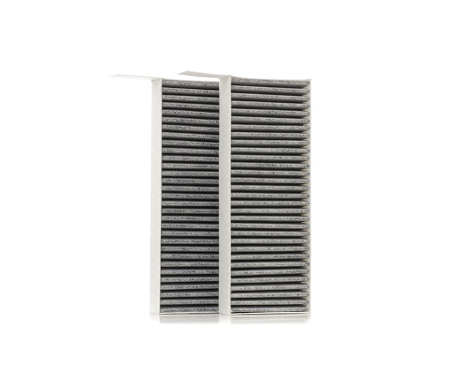 Kúpte si lacné originálne Filter vnútorného priestoru SKIF-0170372 porovnateľné s 1616959280 OEM číslami online