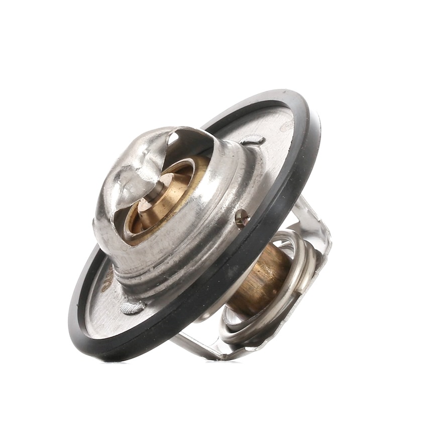 STARK SKTC-0560136 Thermostat d'eau