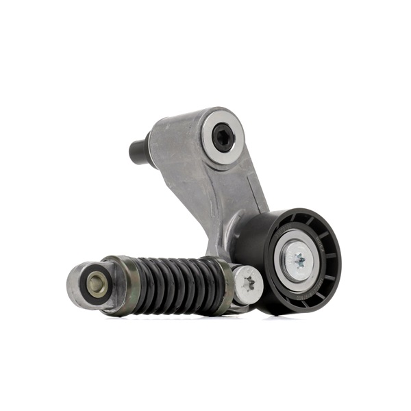 OEM Spanrol, poly V-riem RENAULT 1.9 dTi 98 PK Diesel 30852898 van RIDEX online aan geweldige prijzen