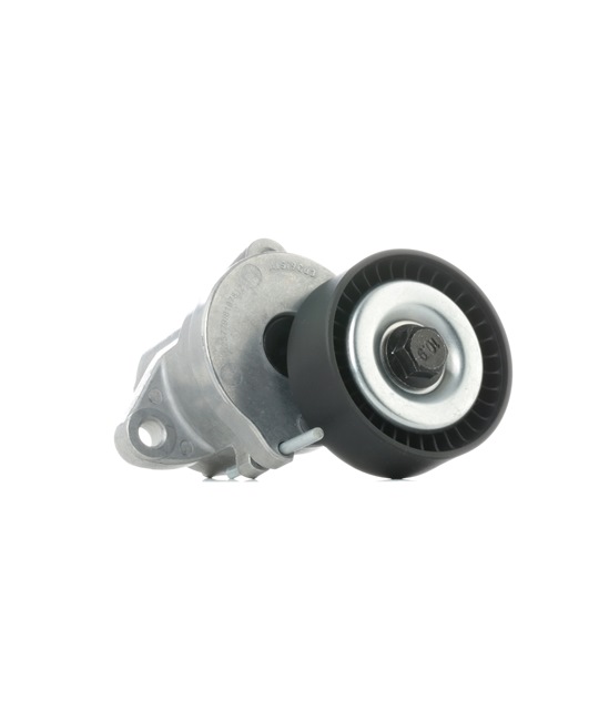 OEM Polea tensora, correa poli V OPEL 2.0 BiTurbo CDTI (08) 194 CV Gasóleo 055562864 de RIDEX online a precios inmejorables