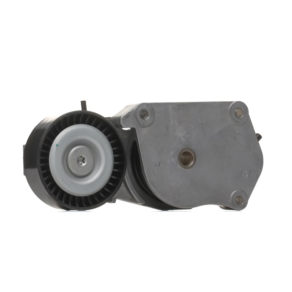 OEM Rolă curea accesorii MINI Hatchback (R50, R53) 2001 11281482199, 1482199, 11287509476 RIDEX