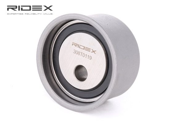 RIDEX 308T0119