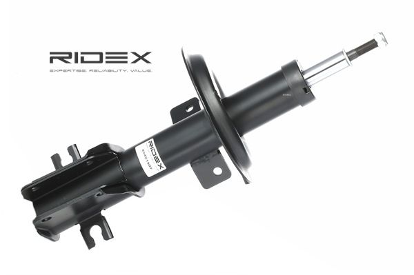 OEM Tlumič FIAT 1.9 JTD 107 HP Diesel 46463130 od RIDEX online za výborné ceny