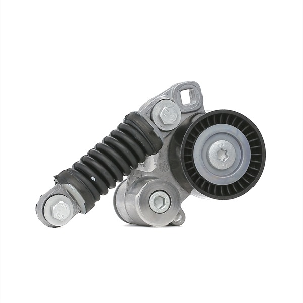 OEM Rolo tensor, correia trapezoidal estriada AUDI 4.2 TDI quattro 340 CV Diesel 057903133J de HUTCHINSON online a preços excelentes