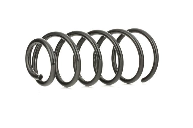 OEM Fjær VW 2.0 115 HK Bensin 1J0411105BH fra RIDEX på nettet til gode priser