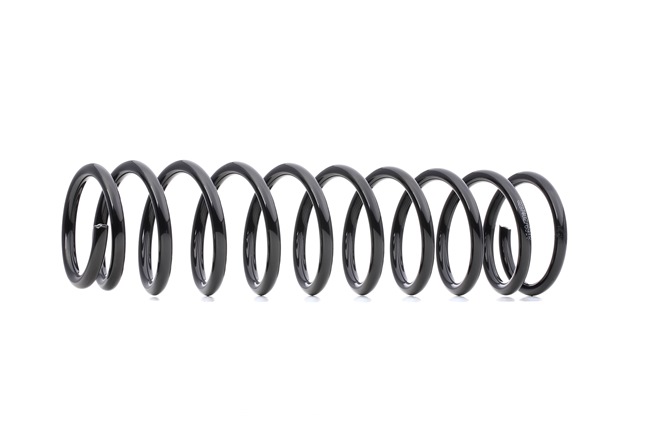 OEM Arcuri elicoidale Mitsubishi Carisma DAO 2004 MR197090, MR403320, 22444933 RIDEX
