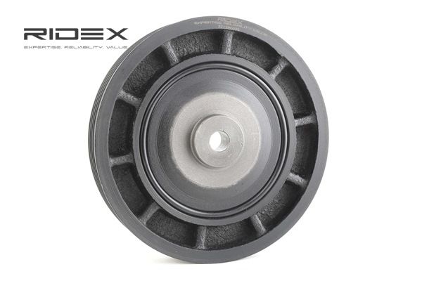 OEM Krukaspoelie RENAULT 1.9 dCi 120 PK Diesel 4413748 van RIDEX online aan geweldige prijzen