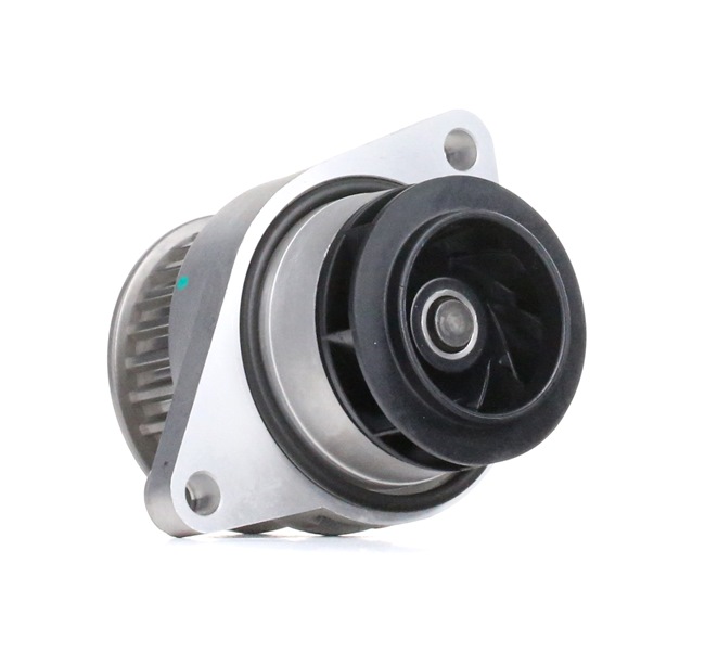 OE VW SPACEFOX Water pump 030121005N, 030121005NV, 030121005NX from INA - reduced prices