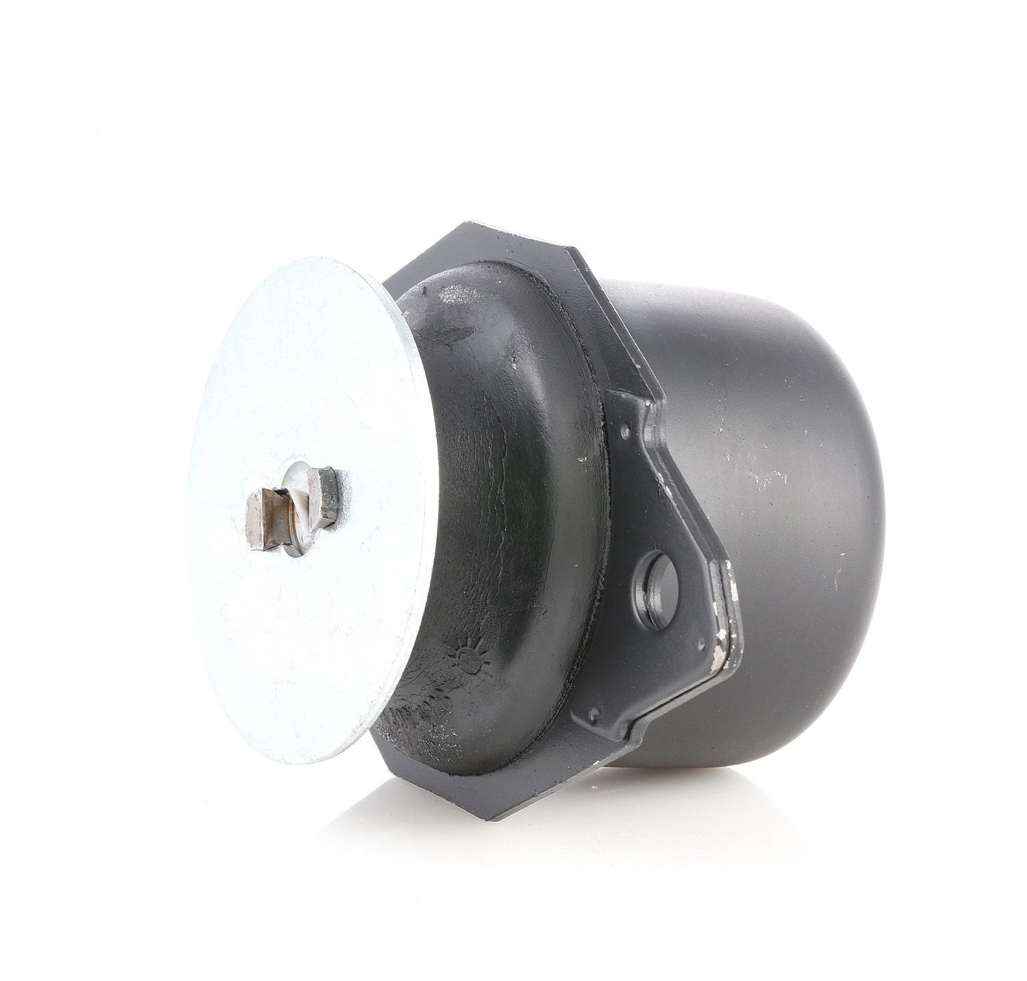 Įsigykite RIDEX Variklio montavimas Prekės Nr.: 247E0013 už žemiausią 15,63 € kainą