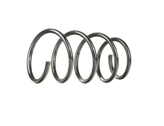OEM Chassisveer RENAULT 2.0 16V (JA1D, JA17) 140 PK Benzine 7700434156 van RIDEX online aan geweldige prijzen